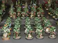 Un esercito di guerrieri in armatura verde, i dark angels, pronti alla battaglia con armi scintillanti.