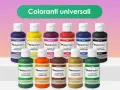 Flaconi di coloranti universali Naturcolor in varie tonalità. Non c'è una vera differenza tra colori vinilici o acrilici, sono pigmenti per resina.