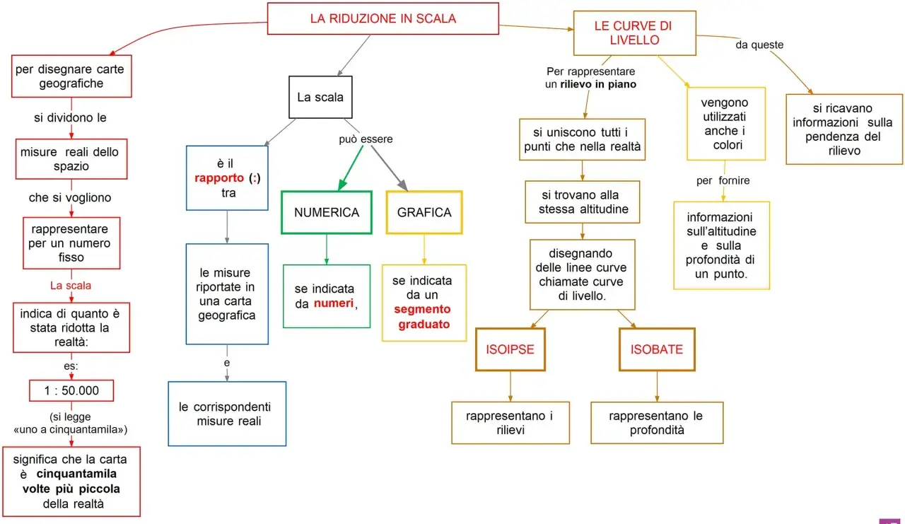 Schema su come si fa la riduzione in scala: si dividono le misure reali per un numero fisso, ottenendo la scala numerica o grafica per rappresentare la realtà.